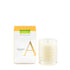 Agraria Lime & Orange Candle 96g